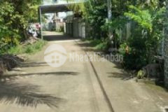 Không sử dụng cần bán nền giá rẻ