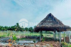 Chủ gửi bán lô đất 946m2 1ty400tr tân phú trung