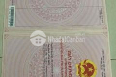 Cần bán nhà cao tầng mới xấy