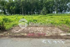 Cần mua 10 lô đất lan anh 2 lan anh 5 giá cao