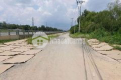 Hàng thơm cho đại gia thích nhà vườn trang trại