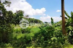 Cần bán dt 1700m tc tú sơn kim bôi hb