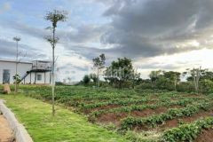 Cần bán 1 sào đất view hồ daklong thượng có thổ cư