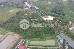 Lô vườn đẹp cặp hoing kdl sinh thái phước sơn