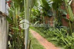 Bán nhà vườn xã nhơn đức nhà bè giá 8 3trm2