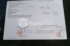 Nhà mặt tiền 184 45m2 hoàng hữu nam p tân phú q 9