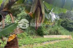 Bán lô đất 2281m2 cách quốc lộ 20 khoang 1 6km