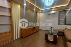 Siêu phẩm xã đàn nội thất hiện đại ở ngay