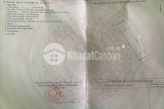 Bán đất khu thương mại thiên phú phường 4 tpvl