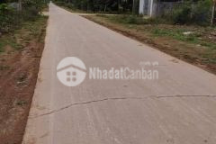 Bán nhà 12m x63m mặt tiền chính buôn triết sau chợ 198 vô khu công nghiệp 1.250 tỷ