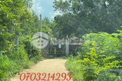 Bán đất nền tây ninh sổ sẳn đấttâyninhgiáthấp