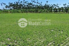 Bán 3 lô đất sào sông luỹ 8459m liền nhau từ 140km²ngay farm gần safari, ven biển phan thiết