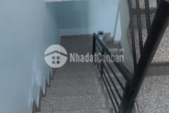 Gấp bán nhà thống nhất gò vấp 50m2 8 phòng cho thuê giá 5 tỷ 5