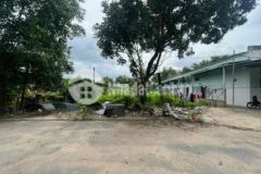 20 46 có200tc xây trọ hay làm xưởng tặng bản vẽ