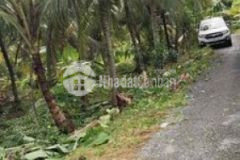 Còn 1 nền đẹp lộ ô tô ngãi tứ tam bình vĩnh long