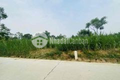 S2343m có 400 thổ cư tại cao dương lương sơn hb