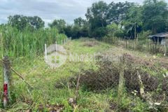 Đất mặt tiền 710 tỉnh lộ 2 chỉ 300m 566m2 2 65 tỷ