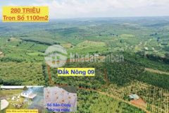 Đất nền daknong giá rẻ 280tr1000m2 shr