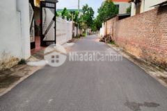 Cắt lỗ 110m tdp lai sơn vĩnh yên vĩnh phúc