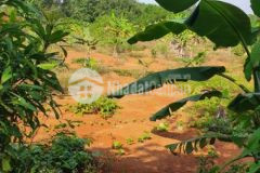 Bán 500m2 suối tre long khánh qh đất ở odt