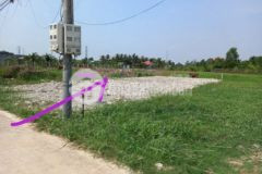 Bán lô đất chính chủ ở cây điệp nhựt chánh