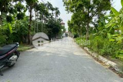 Cần nhượng lại 314m2 đất dương kinh, hải phòng đường nhựa 10m