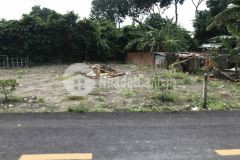 Chính chủ cần bán lô đất xã phước vĩnh an 210m2 giá 2ty050, sổ hồng riêng.