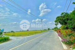 Đất nền tây ninh giá rẻ hơn 200m2 giá chỉ 300tr