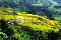 Đất nền hà giang, mảnh đất đẹp nhất quản bạ