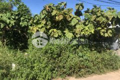 Chuyển nhượng lô đất ở thủy xuân