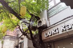 Bán nhà 11 ngõ 138 chợ khâm thiên xã đàn, ngõ thông, gần phố dt 15m5 tầng1.5 tỷ