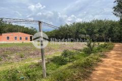 Chính chủ cần bán lô đất mặt tiền nhánh đt788, phước vinh, tây ninh