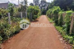 Cần bán vườn cây ăn trái bơ sầu riêng măng cục