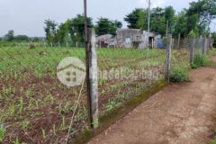 Cần bán lô đất 3323m cách trường học cấp 2 800m