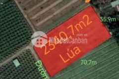 Bán lô đất lúa 3 mặt tiền gần trục động lực 3 2tỷ