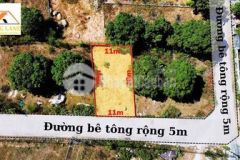 Đất bán đường gà chỉ cây xoài ngang 11m đường 5m