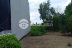 Đất nguyễn hữu trí 5x20 ttrấn tân túc bình chánh