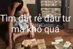 Tôi cần mua nền tân đức