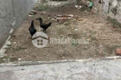 Lô đất đẹp đồng mai hà đông 40m2 mt 4m 1tỷ110