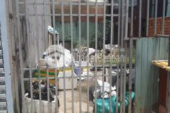 Chính chủ bán đất quách điêu 4x10 700tr