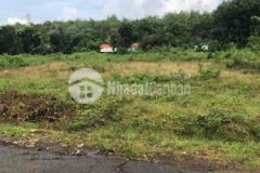 Đất dt757 25x36 có 100m2 thổ cư giá 480 triệu