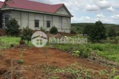 Kẹt tiền làm ăn bán rẻ mảnh vườn giá chỉ 470tr