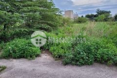 Bán đất tx q12 54m2 chỉ 1 2 tỷ