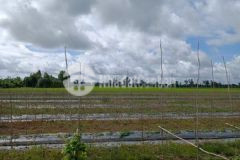 Bán đất mặt tiền lô góc dt 28 372m2 chỉ 300km2