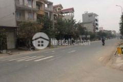 Bán đất đường 286 hòa tiến yên phong bắc ninh