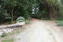 S 313m có 50 thổ cư tại liên sơn lương sơn hb