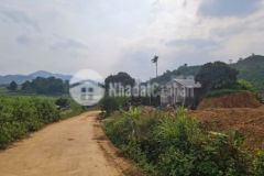 Gia chủ cần bán gấp 472 7m²xóm rú giữa hợp phong