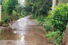 Bán đất mặt tiền xe hơi lộ 3 m rưỡi đất thổ cư