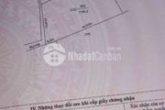 Bán lô lúa 1165m2 giá rẻ khu vực an thạnh