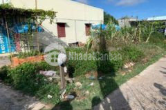 Bán lô thổ cư phong nẫm giá rẻ